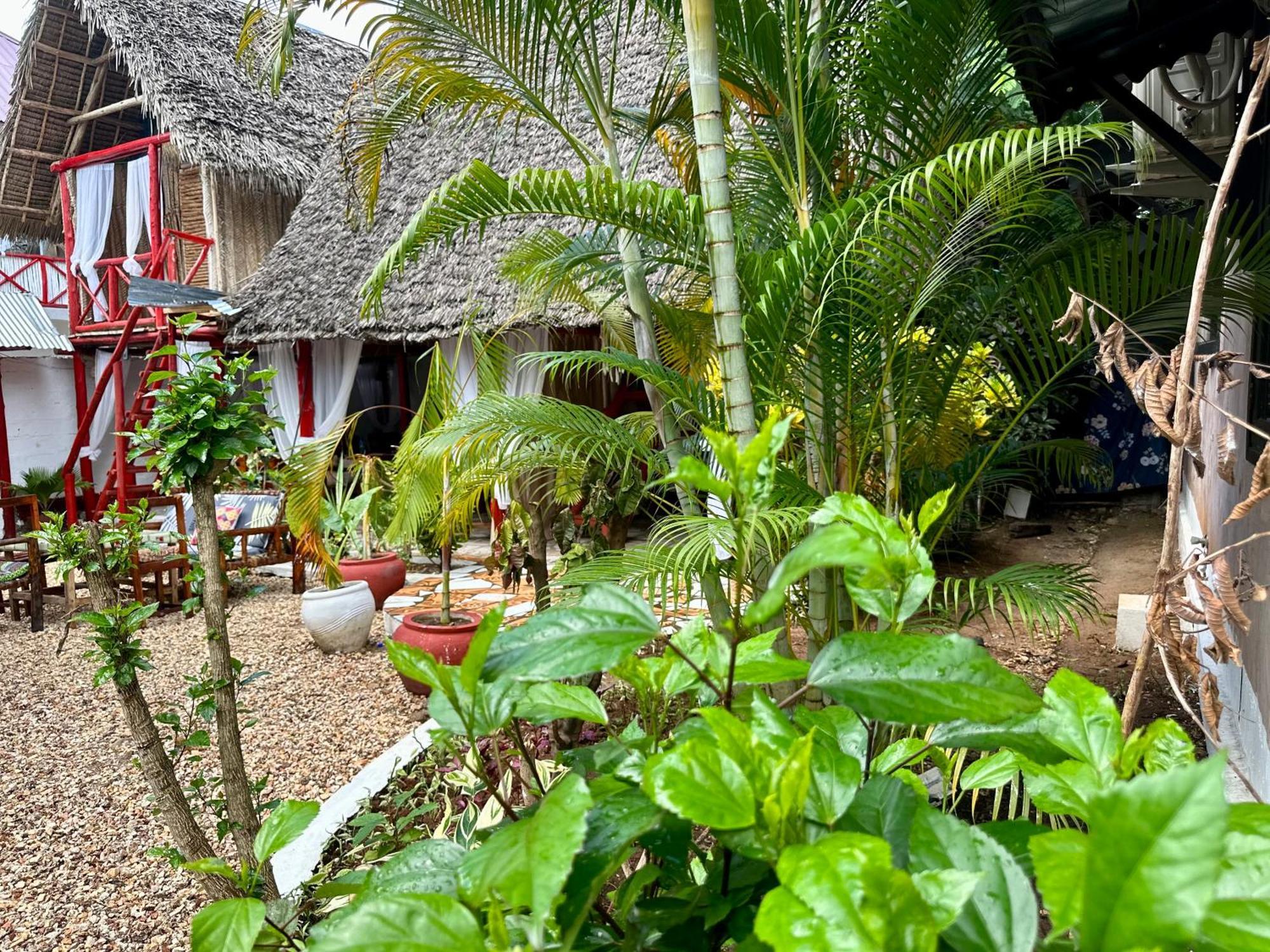 Pole Pole House Hotel Nungwi Eksteriør billede